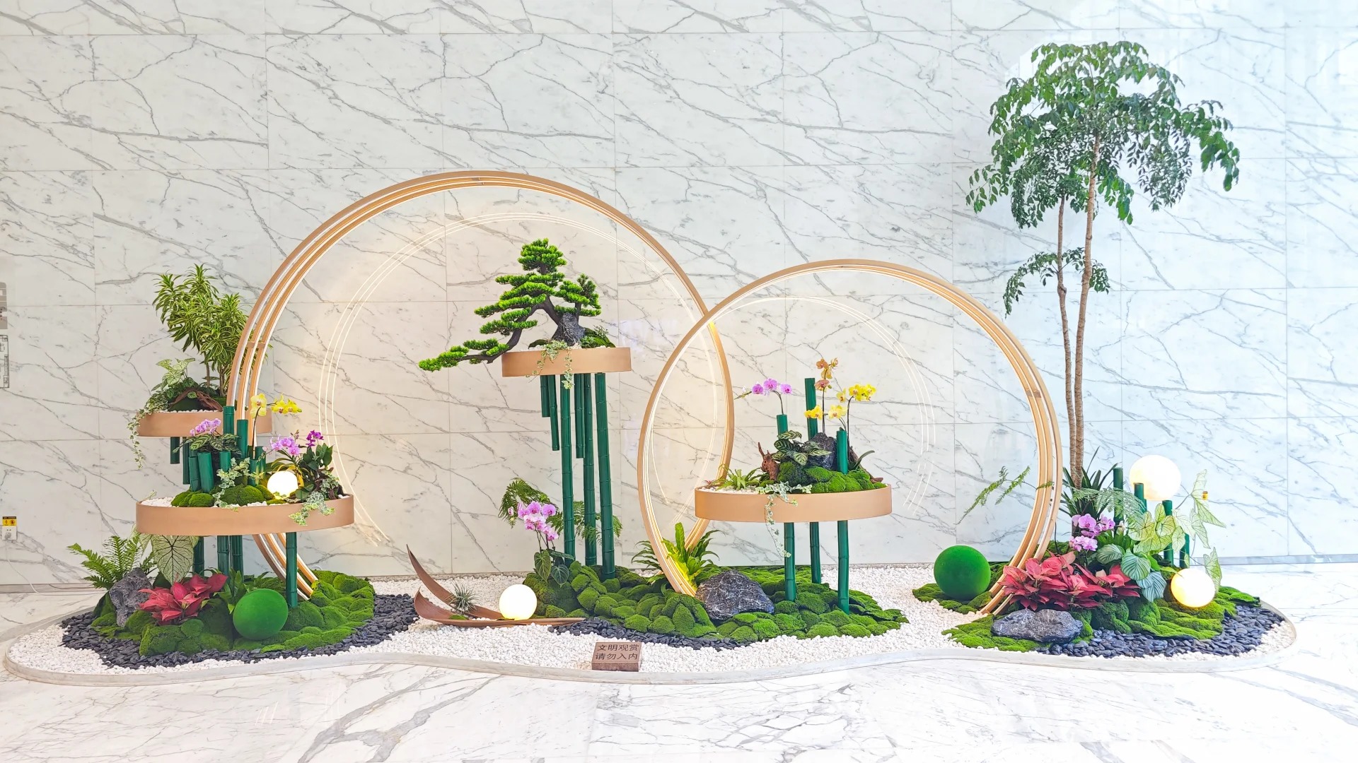 了解镇海植物租赁价格，开启绿色租赁之旅！